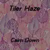 Tiler Haze - Calm Down - Single